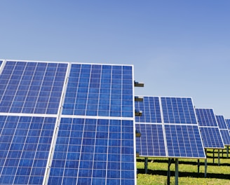 blue solar panel boards