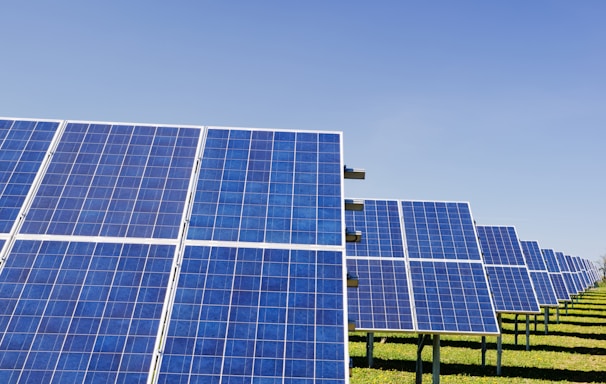 blue solar panel boards